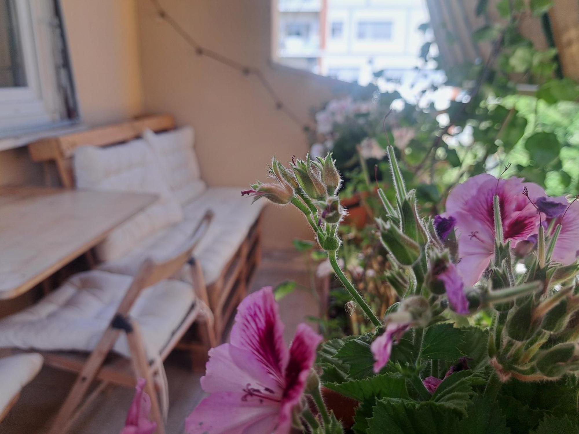 Eco B&B Marela Rome Buitenkant foto